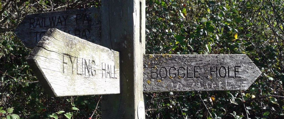 Robin Hood's Bay shoreline and cliffs