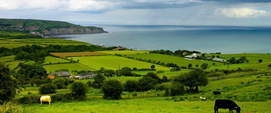 Beach and waves near Robin Hood's Bay