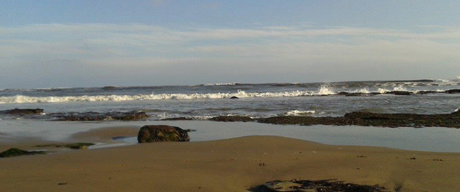 Green fields and sea on the North Yorkshire coast