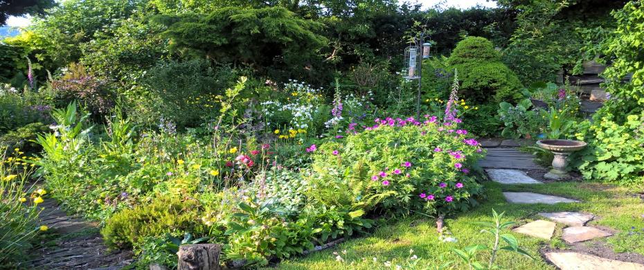 The planted garden at Thorpe Green House